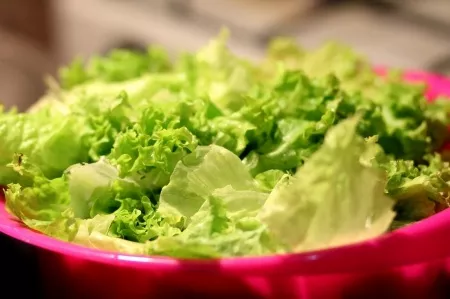 Lettuce Salad